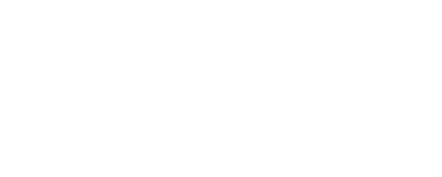 Texarkana Regional Airport Logo