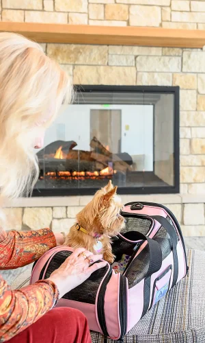 Female traveler and her dog waiting to board a flight enjoying the seating area next to the fireplace